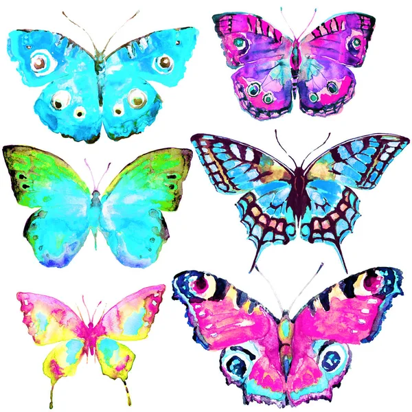 Vackra Ljusa Fjärilar Akvarell Isolerad Vit — Stockfoto