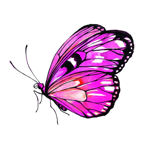 Szép Fényes Pillangó Akvarell Elszigetelt Fehér — Stock Fotó