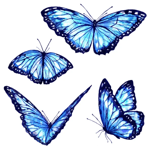 Vackra Blå Fjärilar Akvarell Isolerad Vit — Stockfoto