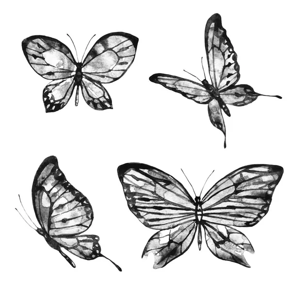 Krásný Motýl Izolovaných Bílém Pozadí — Stock fotografie