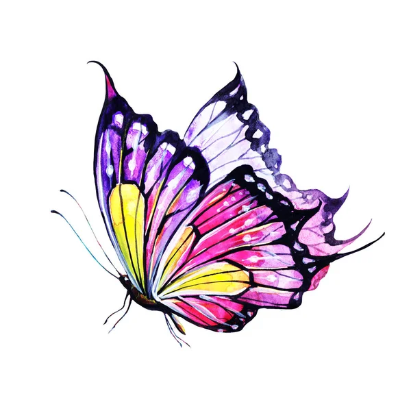 Farfalla Isolata Sfondo Bianco Acquerello — Foto Stock