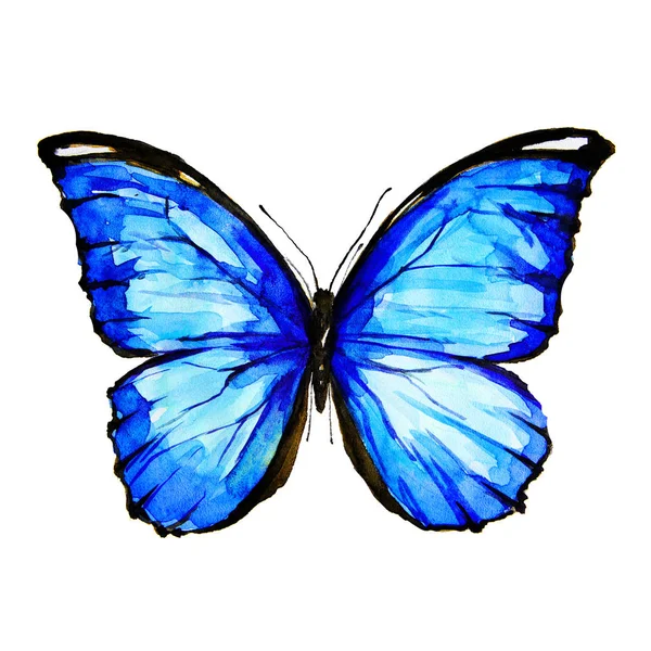 Beautiful Blue Butterfly Watercolor Isolated White — Stock Photo, Image