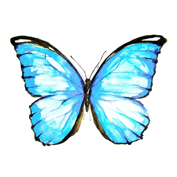 Hermosa Mariposa Azul Acuarela Aislado Blanco — Foto de Stock