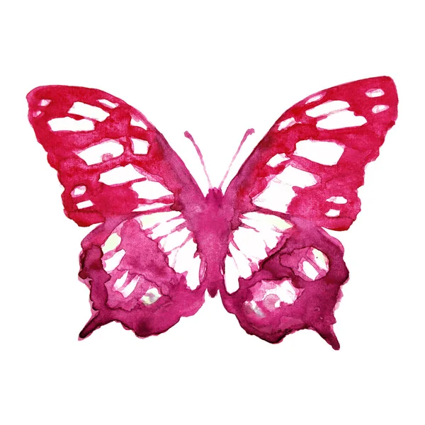 Красивий Яскравий Метелик Акварель Ізольований Білому — стокове фото