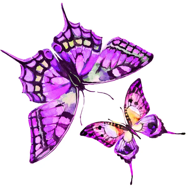 Mooie Vlinders Aquarel Geïsoleerd Een Witte Achtergrond — Stockfoto