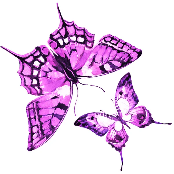 Hermosas Mariposas Acuarela Aisladas Sobre Fondo Blanco —  Fotos de Stock