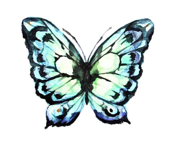 Красивая Голубая Бабочка Акварель Изолированная Белом — стоковое фото