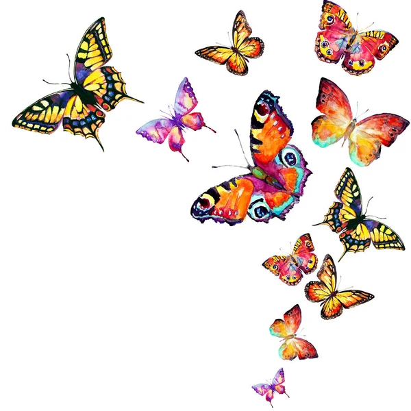 Όμορφες Πολύχρωμες Πεταλούδες Ορίστε Ακουαρέλα Απομονώνονται Λευκό — Φωτογραφία Αρχείου