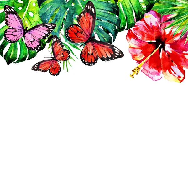 Schöne Blume Und Schmetterlinge Aquarell Isoliert Auf Einem Weißen — Stockfoto