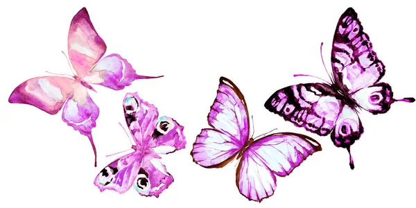 Hermosas Mariposas Acuarela Aisladas Sobre Fondo Blanco — Foto de Stock