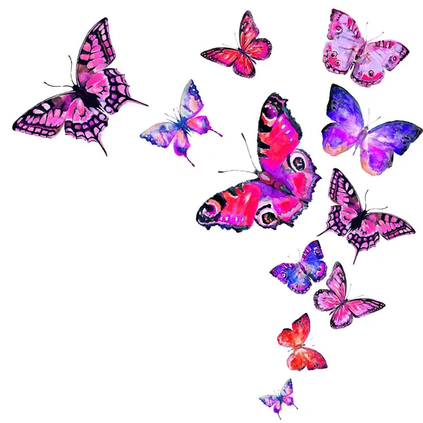 Beautiful Colorful Butterflies Set Watercolor Isolated White — Stock Photo, Image