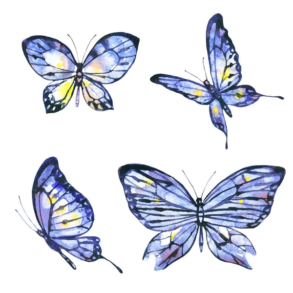 Krásné Motýly Akvarel Izolované Bílém — Stock fotografie