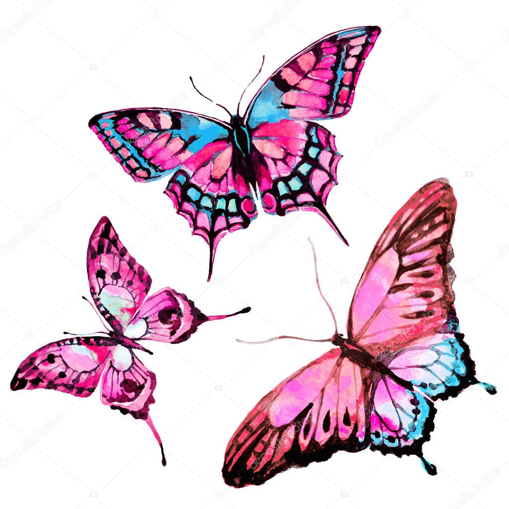 beautiful  butterflies, watercolor, isolated on a white background 