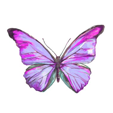 bir beyaz, suluboya izole güzel mavi kelebek