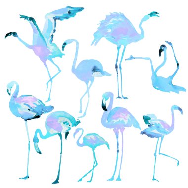 Güzel suluboya flamingolar, bir beyaz isolaned. Büyük set.