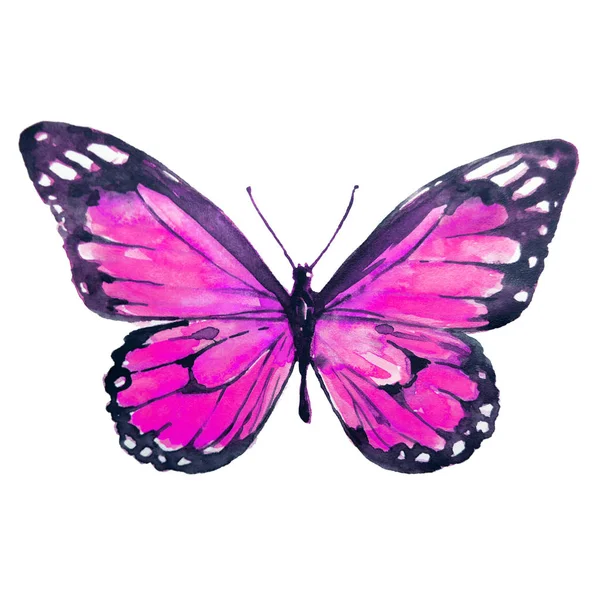 Krásné Světlé Motýl Akvarel Izolované Bílém — Stock fotografie