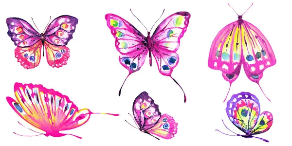 Piękne Kolorowe Motyle Zestaw Akwarela Białym Tle — Zdjęcie stockowe