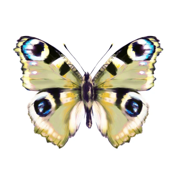 Krásný Motýl Izolované Bílém Akvarel — Stock fotografie