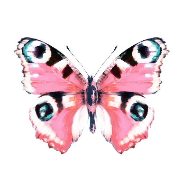 Schöner Schmetterling Isoliert Auf Einem Weißen Aquarell — Stockfoto