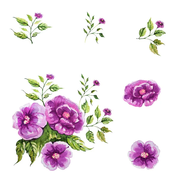 Красивые Цветы Розы Текстура Фон — стоковое фото
