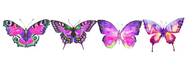 Όμορφες Πολύχρωμες Πεταλούδες Ορίστε Ακουαρέλα Απομονώνονται Λευκό — Φωτογραφία Αρχείου
