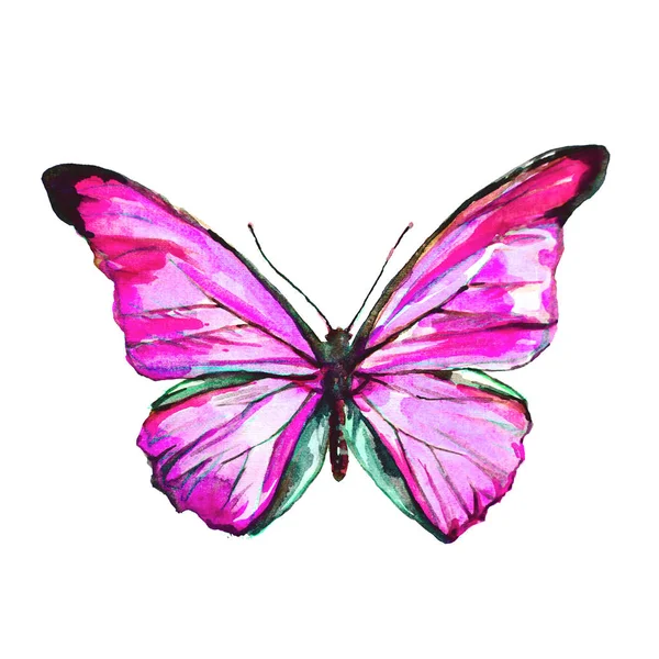 Prachtige Vlinder Geïsoleerd Een Witte Aquarel — Stockfoto