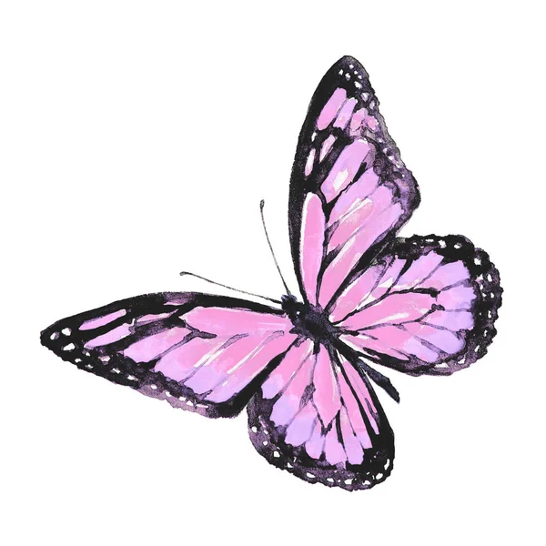 Schöner Schmetterling Isoliert Auf Einem Weißen Aquarell — Stockfoto