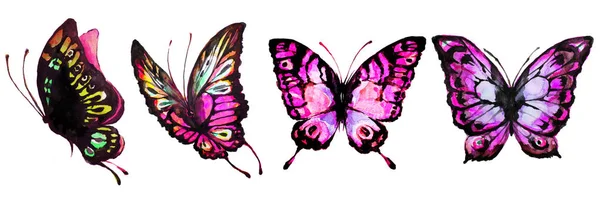 Schöne Rosa Schmetterlinge Isoliert Auf Einem Weißen — Stockfoto