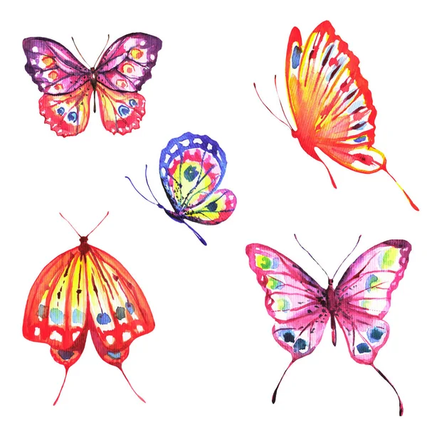 Beautiful Colorful Butterflies Set Watercolor Isolated White — Stock Photo, Image