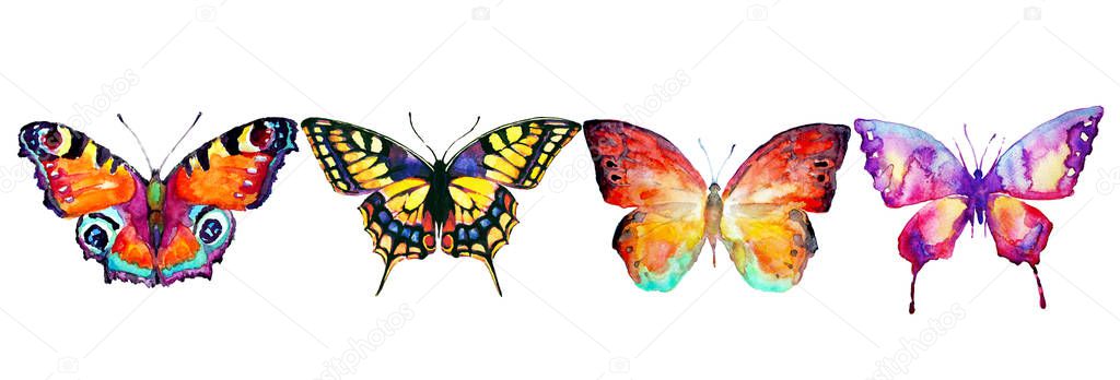 beautiful colorful butterflies, set, watercolor,  isolated  on a white