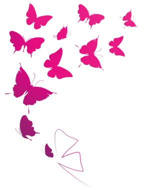 beyaz izole güzel pembe kelebekler