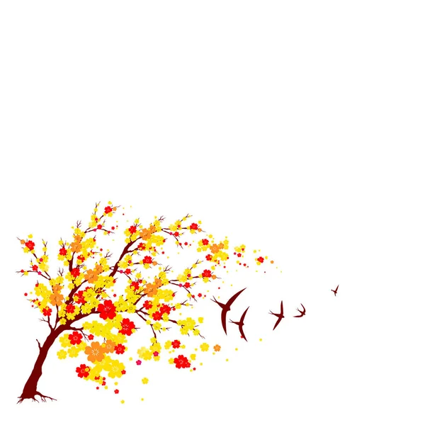 Beautiful Autumn Tree Isolated White Background — Stock Photo, Image