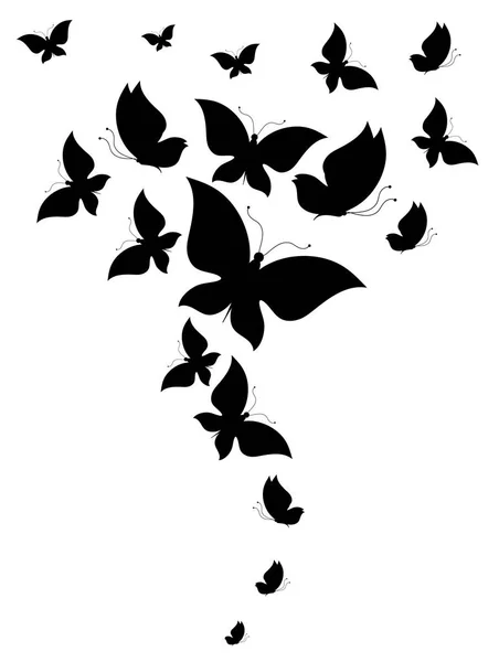 Schwarze Schmetterlinge Isoliert Auf Weißem Hintergrund — Stockfoto