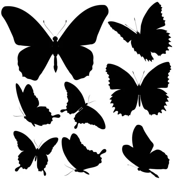 Mariposas Negras Aisladas Sobre Fondo Blanco —  Fotos de Stock