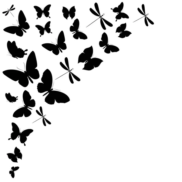 Beyaz Bir Arka Plan Üzerinde Izole Siyah Kelebekler — Stok fotoğraf