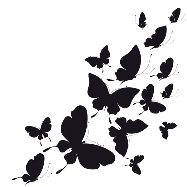 黑色蝴蝶 在白色背景下被隔离 — 图库矢量图片