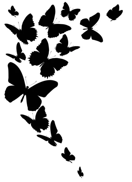 Mariposas Negras Aisladas Sobre Fondo Blanco — Vector de stock