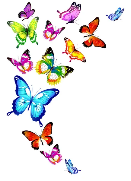 Schöne Helle Schmetterlinge Isoliert Auf Einem Weißen — Stockvektor