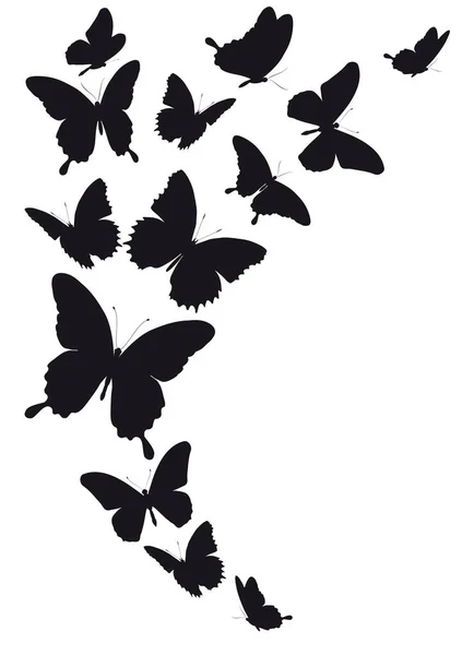 Mariposas Negras Aisladas Sobre Fondo Blanco — Vector de stock