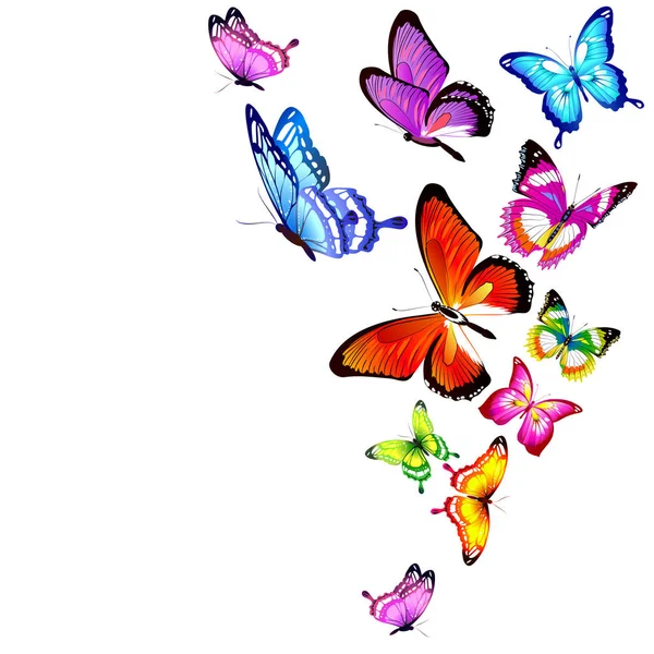 Hermosas Mariposas Brillantes Aisladas Blanco — Archivo Imágenes Vectoriales