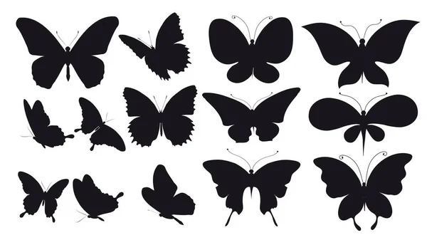 Μαύρο Πεταλούδες Απομονώνονται Λευκό Φόντο — Διανυσματικό Αρχείο