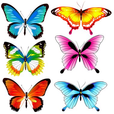 beyaz izole güzel parlak kelebekler