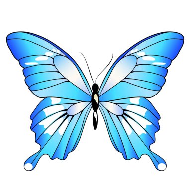 beyaz izole güzel mavi kelebek