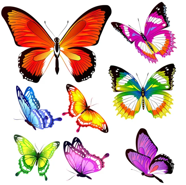 Beautiful Bright Butterflies Isolated White — Stock Vector