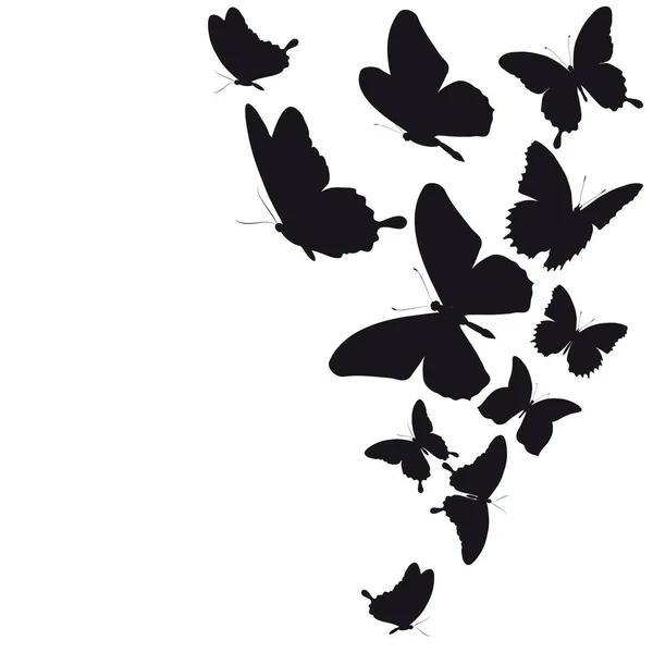 Mariposas Negras Aisladas Sobre Fondo Blanco — Vector de stock