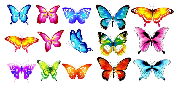 Όμορφα Φωτεινά Πεταλούδες Απομονώνονται Λευκό — Διανυσματικό Αρχείο