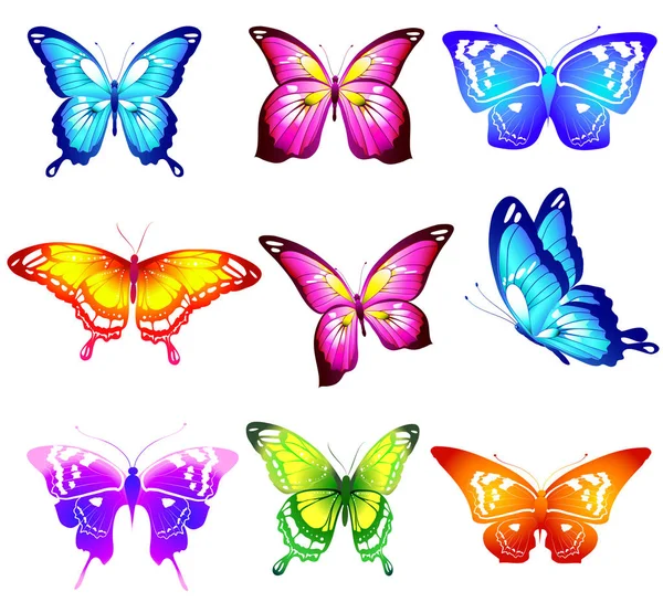 Красиві Яскраві Метелики Ізольовані Білому — стоковий вектор