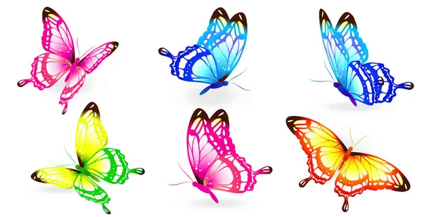 Beaux Papillons Lumineux Isolés Sur Blanc — Image vectorielle