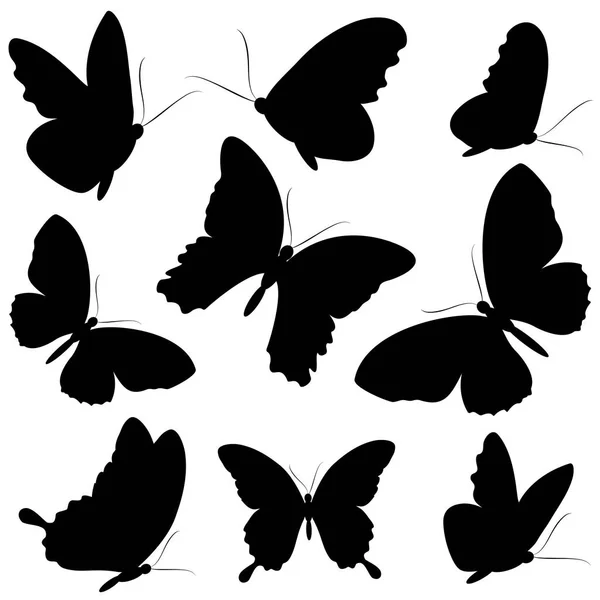Svarta Fjärilar Isolerad Vit Bakgrund — Stock vektor