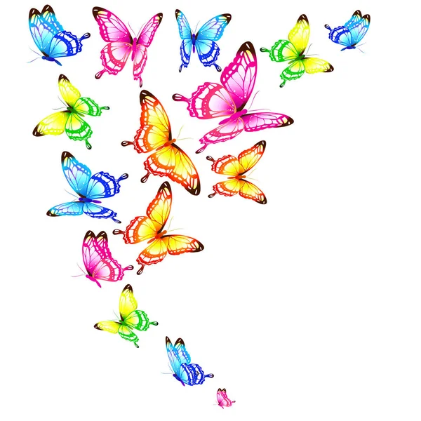 Schöne Helle Schmetterlinge Isoliert Auf Einem Weißen — Stockvektor